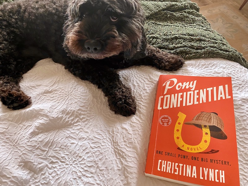 Pony Confidential book with black Cockapoo on a white bed