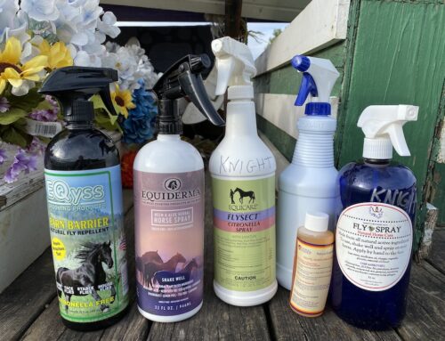 Natural Fly Spray for Horses Showdown, Summer 2024