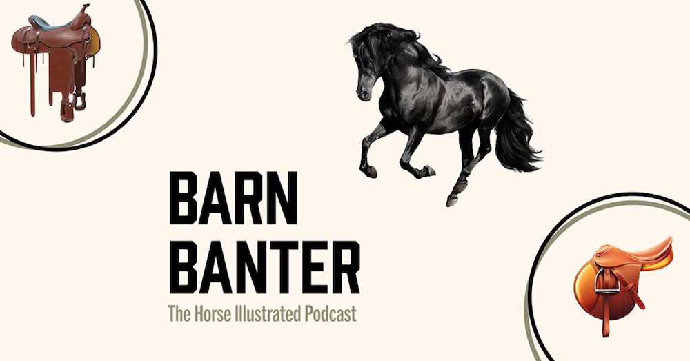 Barn Banter Podcast co-host Susan Friedland interviews