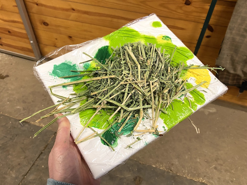 Painting with Your pony green paints on a stretched canvas with hay resting atop plastic wrap